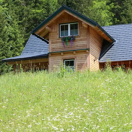 Ferienhaus Forstauer's Teichalm *